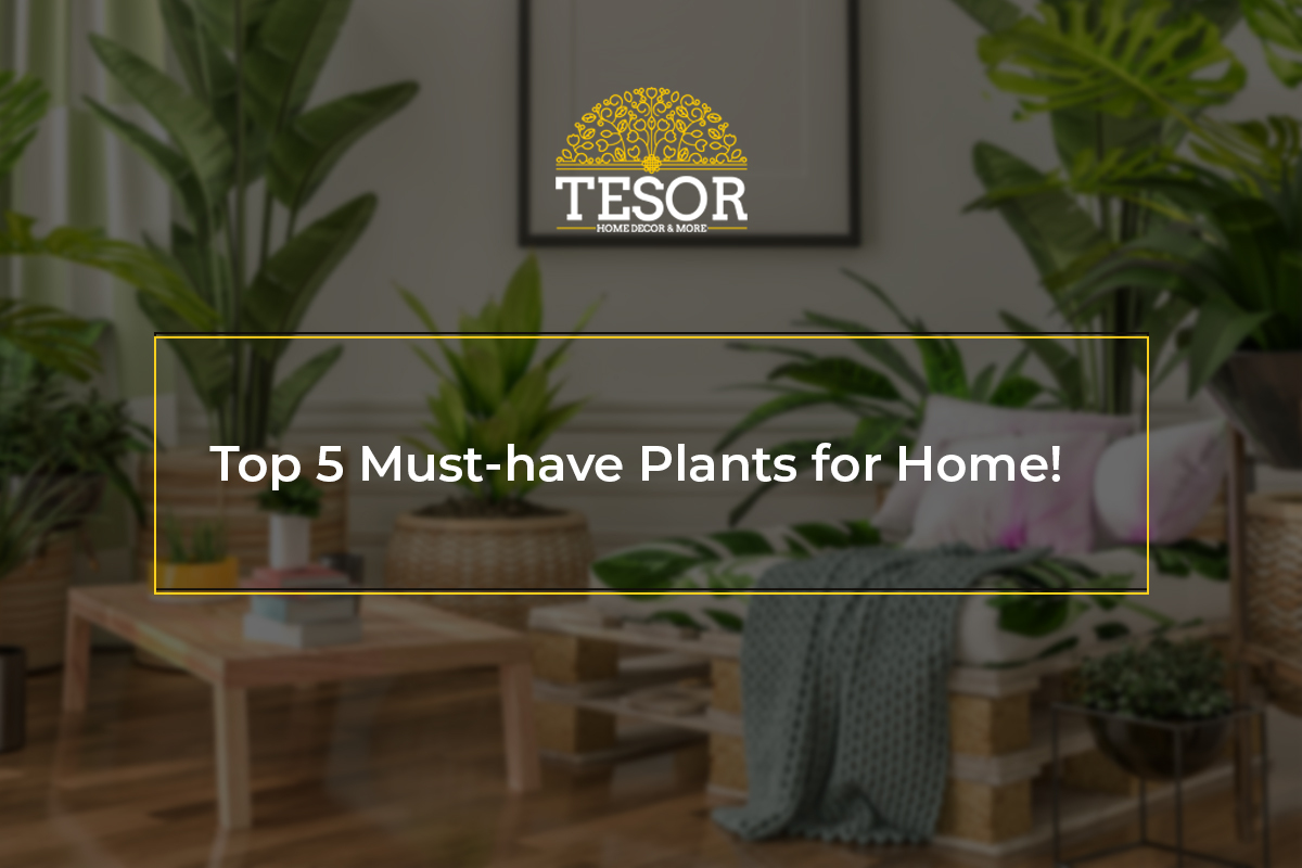 Must-have Plants for Home Must-have Plants for Home